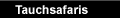 Tauchsafaris